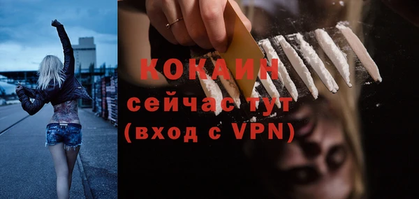стаф Баксан