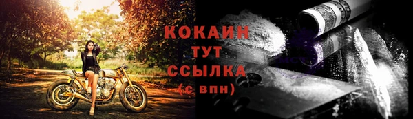 стаф Баксан
