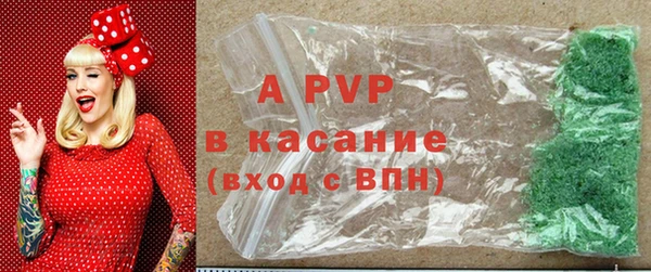 стаф Баксан