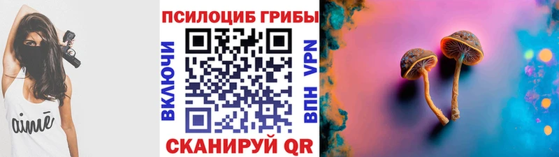 Псилоцибиновые грибы Psilocybine cubensis  что такое наркотик  Афипский 