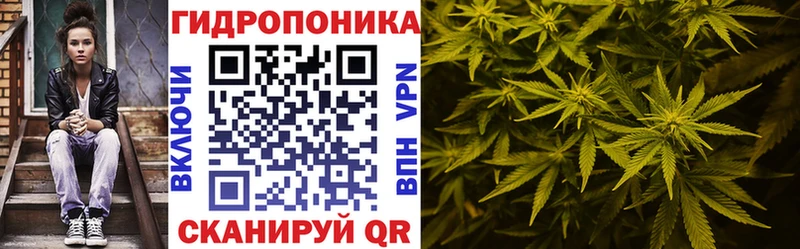 Бошки марихуана SATIVA & INDICA  Афипский 